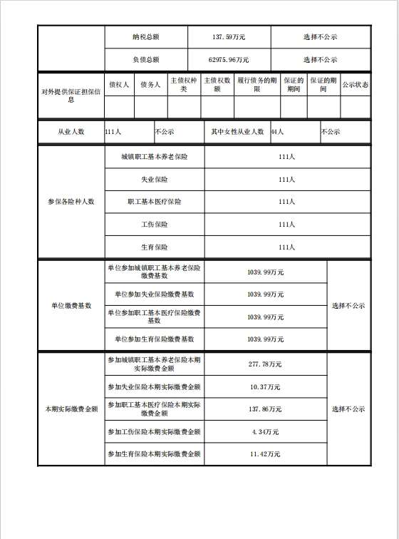 2023年度企業(yè)年度報告書2.jpg